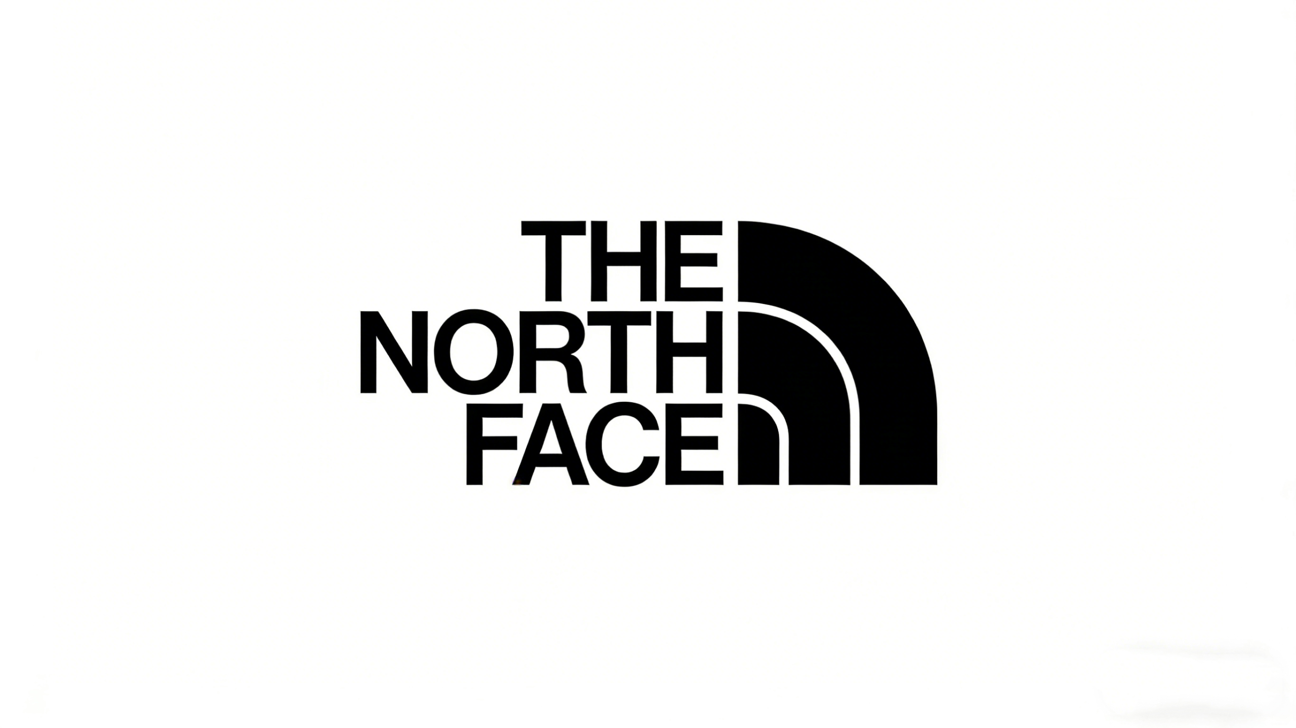 THE NORTH FACE LOGO
